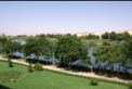 Assuan - Blick aus dem Hotelzimmer auf den Nil