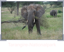 Tarangire-Nationalpark