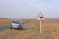Vorsicht Kamele