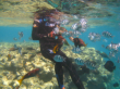Hurghada - Schnorchelausflug