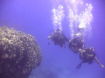 Hurghada-Tauchausflug