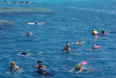 Hurghada - Schnorchelausflug