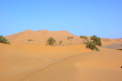 Merzouga - Die prchtigen Sanddnen