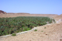 Ziz-Tal