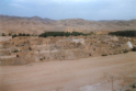 Tamerza