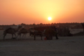 Douz - Sonnenuntergang