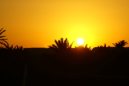 Djerba