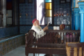 Djerba - Synagoge La Ghriba