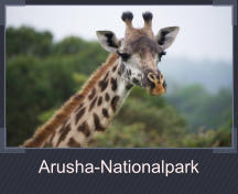 Arusha-Nationalpark