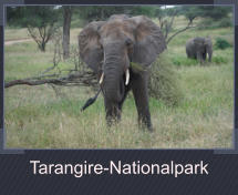 Tarangire-Nationalpark