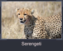 Serengeti