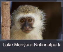 Lake Manyara-Nationalpark