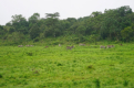 Arusha-Nationalpark