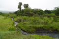 Arusha-Nationalpark