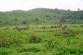 Arusha-Nationalpark