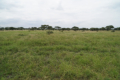 Tarangire-Nationalpark