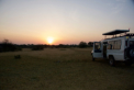 Serengeti