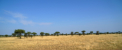 Landschaft der Serengeti