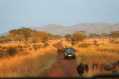 Gnus