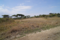 Bei der Einfahrt in die Serengeti