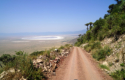 Ngorongoro-Krater - Fahrt hinunter