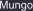 Mungo