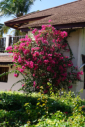 Hotel Breezes Beach Club