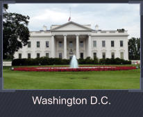 Washington D.C.