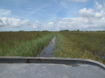 Homestead - Everglades Alligator Farm - Airboat Tour