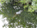 Everglades National Park - Anhinga Trail