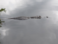 Everglades National Park - Anhinga Trail