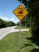 Sanibel Island 