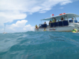 Florida Keys-Marathon - Schnorcheltour zum Sombrero Reef
