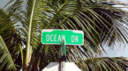 Ocean Drive