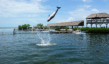 Grassy Key - Dolphin Research Center