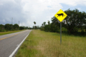 Everglades National Park - Warnung vor dem Florida Panther