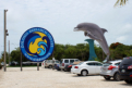 Grassy Key - Dolphin Research Center