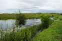 Everglades National Park - Anhinga Trail
