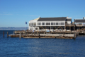 Pier 39 mit Seelwenkolonie mitten in der Stadt