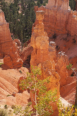 Bryce Canyon - Thors Hammer