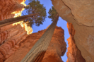 Bryce Canyon