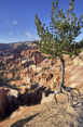 Bryce Canyon