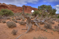 Arches National Park