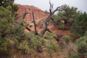 Arches National Park