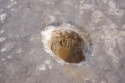 Death Valley - Badwater Basin