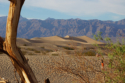 Death Valley - Mesquite Flat Dunes