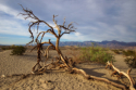 Death Valley - Mesquite Flat Dunes