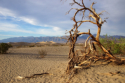 Death Valley - Mesquite Flat Dunes