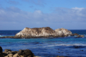 17 Mile Drive - Seal Rock