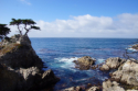 17 Mile Drive - Lone Cypress